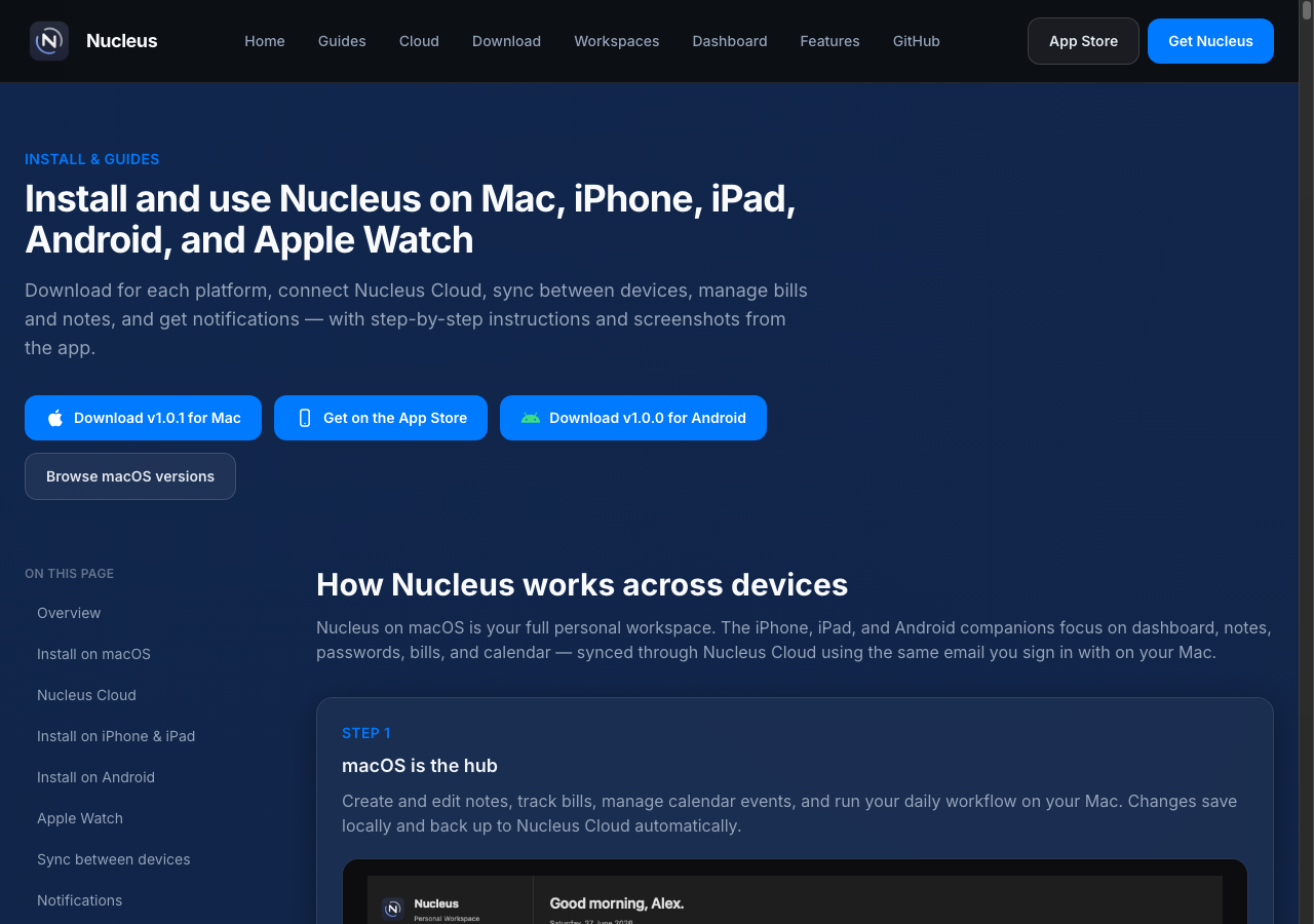 Download Nucleus APK from the website